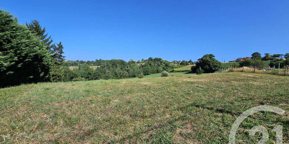 terrain à BAIGTS DE BEARN (64300)